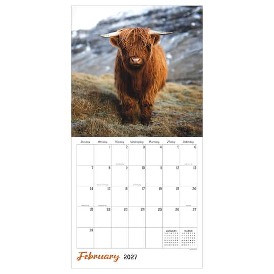 2027 Highland Cows Wall Calendar